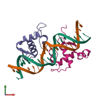 PDB entry 2han coloured by chain, front view.