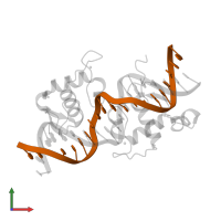 5'-D(*GP*AP*CP*AP*AP*GP*TP*GP*CP*AP*TP*TP*GP*AP*AP*CP*CP*CP*TP*T)-3' in PDB entry 2han, assembly 1, front view.