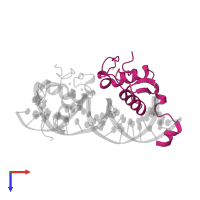 Ecdysone receptor in PDB entry 2han, assembly 1, top view.