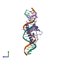 PDB entry 2hap coloured by chain, side view.