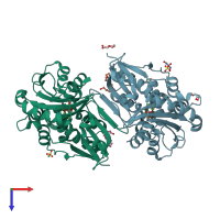 PDB entry 2haw coloured by chain, top view.