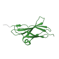 The deposited structure of PDB entry 2haz contains 1 copy of SCOP domain 49266 (Fibronectin type III) in Neural cell adhesion molecule 1. Showing 1 copy in chain A.