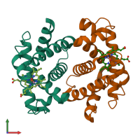 PDB entry 2hbc coloured by chain, front view.
