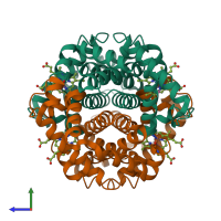 Hetero tetrameric assembly 1 of PDB entry 2hbd coloured by chemically distinct molecules, side view.