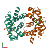 PDB entry 2hbe coloured by chain, front view.