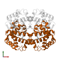 Hemoglobin subunit beta in PDB entry 2hbe, assembly 1, front view.