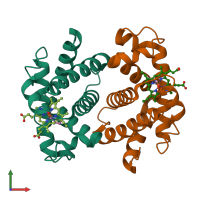 PDB entry 2hbf coloured by chain, front view.