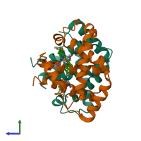 PDB entry 2hbf coloured by chain, side view.