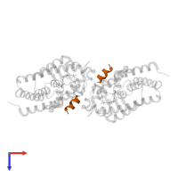 Nuclear receptor coactivator 1 in PDB entry 2hbh, assembly 1, top view.