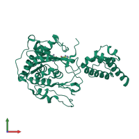 PDB entry 2hbl coloured by chain, front view.