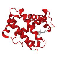 The deposited structure of PDB entry 2hbs contains 4 copies of CATH domain 1.10.490.10 (Globin-like) in Hemoglobin subunit alpha. Showing 1 copy in chain A.