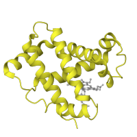 The deposited structure of PDB entry 2hbs contains 4 copies of SCOP domain 46463 (Globins) in Hemoglobin subunit beta. Showing 1 copy in chain B.