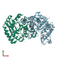 PDB entry 2hbv coloured by chain, front view.