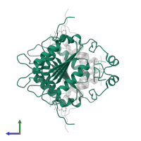 Caspase-1 subunit p20 in PDB entry 2hby, assembly 1, side view.