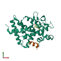PDB entry 2hcd coloured by chain, front view.