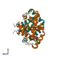 PDB entry 2hco coloured by chain, side view.