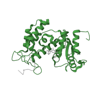 The deposited structure of PDB entry 2hct contains 2 copies of Pfam domain PF02267 (ADP-ribosyl cyclase) in ADP-ribosyl cyclase/cyclic ADP-ribose hydrolase 1. Showing 1 copy in chain A.