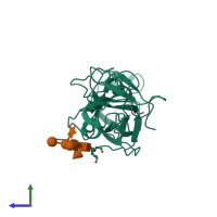 PDB entry 2hcz coloured by chain, side view.