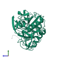 Proteinase K in PDB entry 2hd4, assembly 1, side view.