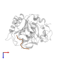 Lactotransferrin in PDB entry 2hd4, assembly 1, top view.