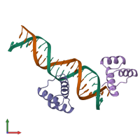 PDB entry 2hdd coloured by chain, front view.