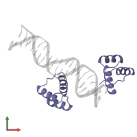 Segmentation polarity homeobox protein engrailed in PDB entry 2hdd, assembly 1, front view.