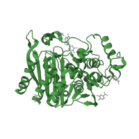 The deposited structure of PDB entry 2hdr contains 2 copies of SCOP domain 56602 (beta-Lactamase/D-ala carboxypeptidase) in Beta-lactamase. Showing 1 copy in chain B.