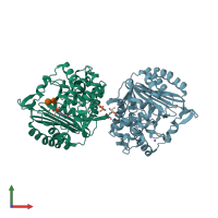 PDB entry 2hds coloured by chain, front view.