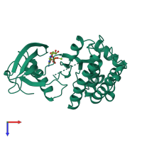 Monomeric assembly 1 of PDB entry 2hen coloured by chemically distinct molecules, top view.