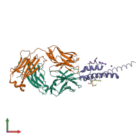 PDB entry 2hfe coloured by chain, front view.