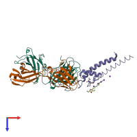 PDB entry 2hfe coloured by chain, top view.