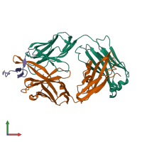 PDB entry 2hfg coloured by chain, front view.