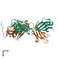 PDB entry 2hfg coloured by chain, top view.