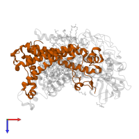 Reaction center protein M chain in PDB entry 2hh1, assembly 1, top view.