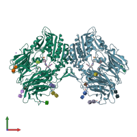 PDB entry 2hha coloured by chain, front view.