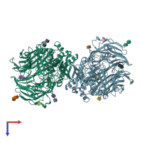 PDB entry 2hha coloured by chain, top view.