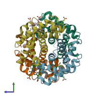 PDB entry 2hhb coloured by chain, side view.