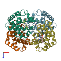 PDB entry 2hhb coloured by chain, top view.