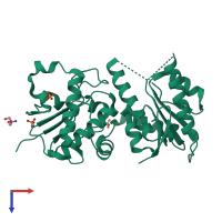 PDB entry 2hhc coloured by chain, top view.
