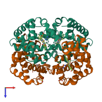 Hetero tetrameric assembly 1 of PDB entry 2hhd coloured by chemically distinct molecules, top view.