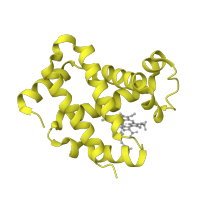 The deposited structure of PDB entry 2hhe contains 2 copies of SCOP domain 46463 (Globins) in Hemoglobin subunit beta. Showing 1 copy in chain B.