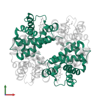 Hemoglobin subunit alpha in PDB entry 2hhe, assembly 1, front view.