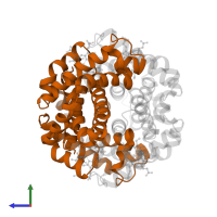 Hemoglobin subunit beta in PDB entry 2hhe, assembly 1, side view.