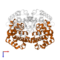 Hemoglobin subunit beta in PDB entry 2hhe, assembly 1, top view.
