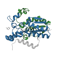 The deposited structure of PDB entry 2hhj contains 4 copies of Pfam domain PF00300 (Histidine phosphatase superfamily (branch 1)) in Bisphosphoglycerate mutase. Showing 2 copies in chain A.