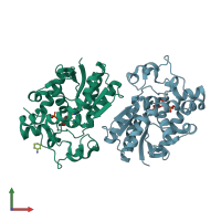 PDB entry 2hhj coloured by chain, front view.