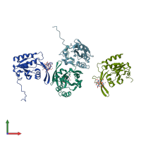 PDB entry 2hhl coloured by chain, front view.