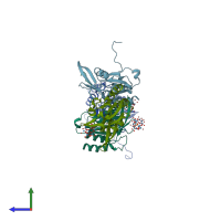 PDB entry 2hhl coloured by chain, side view.