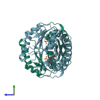 PDB entry 2hhm coloured by chain, side view.