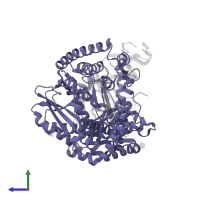 DNA polymerase I in PDB entry 2hht, assembly 1, side view.